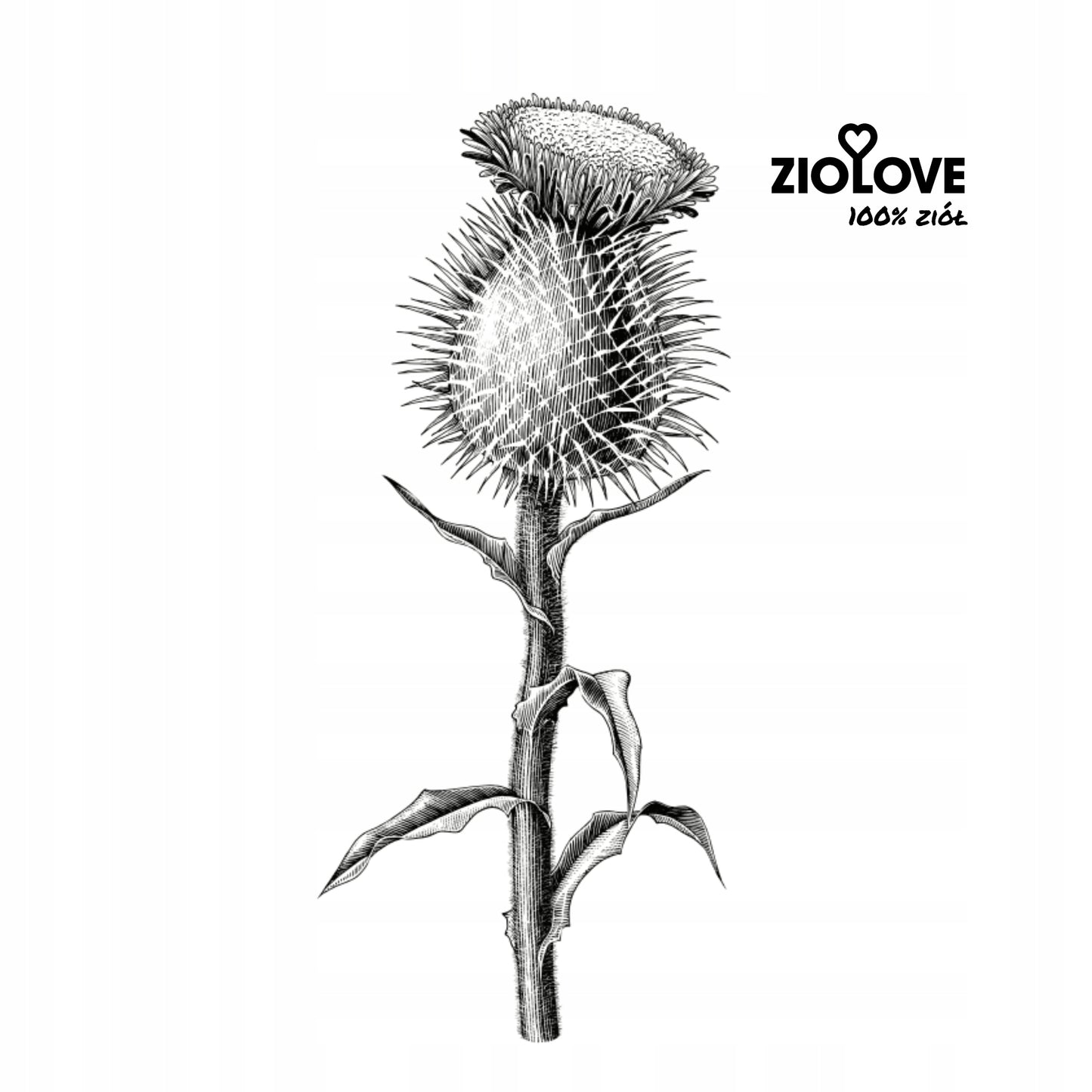 175bb43e178ebd1a11f901d30a340362